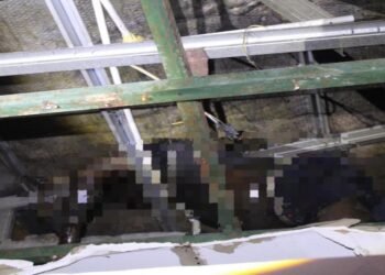 Petugas menemukan jasad korban tersangkut di atas plafon Gedung Mahligai Bungsu, Bangkinang, dalam kondisi tubuh menghitam.