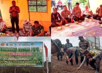 Kolase foto kegiatan penanaman jagung pipil dalam rangka mendukung program ketahanan pangan yang diinisiasi oleh Polsek Sungai Sembilan bersama PT. Ruas Utama Jaya dan Kelompok Tani Wahana Mandiri di Kecamatan Sungai Sembilan, Rabu (27/8/2025).