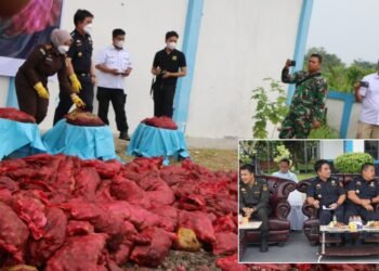 Petugas Bea Cukai bersama aparat penegak hukum lainnya secara simbolis memusnahkan barang bukti bawang ilegal hasil penindakan di Dumai, Rabu (17/9/2025). Pemusnahan ribuan karung bawang selundupan dari Malaysia ini dilakukan dengan cara ditimbun dalam galian tanah untuk mencegah peredarannya di pasar lokal dan melindungi petani dalam negeri.
