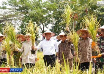 Kapolda Sumsel, Irjen Pol. Andi Rian R. Djajadi (kiri), bersama mantan Gubernur Sumsel, Herman Deru (tengah), dan pejabat lainnya menunjukkan bibit padi unggul saat menghadiri Gebyar Perbenihan Tanaman Pangan Nasional X di Jakabaring Sport City, Palembang, Sabtu (13/9/2025).