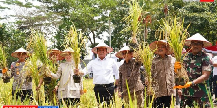 Kapolda Sumsel Irjen Pol Andi Rian R Djajadi kiri bersama mantan Gubernur Sumsel Herman Deru tengah dan pejabat lainnya menunjukkan bibit padi unggul saat menghadiri Gebyar Perbenihan Tanaman Pangan Nasional X di Jakabaring Sport City Palembang Sabtu 1392025